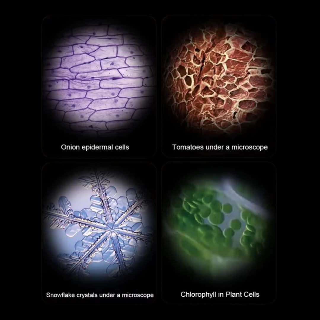 Curious Mind wetenschapsmicroscoop — door Montessori geïnspireerd, 8x–40x vergroting, geïntegreerde ledverlichting