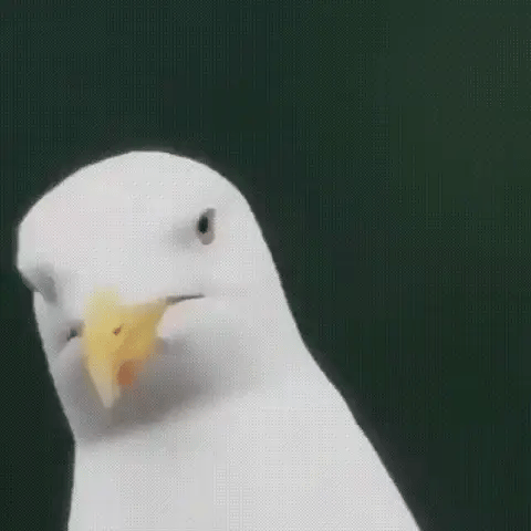 600x-Monokular mit Ultra-Zoom — HD-Objektiv, leicht