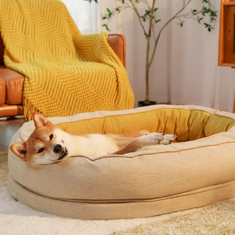 Cama donut para perros — espuma ortopédica, borde alto, antideslizante