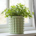 ECOBLOOM Modern Hydroponic Pot — Self-Watering Soil-Free Planter
