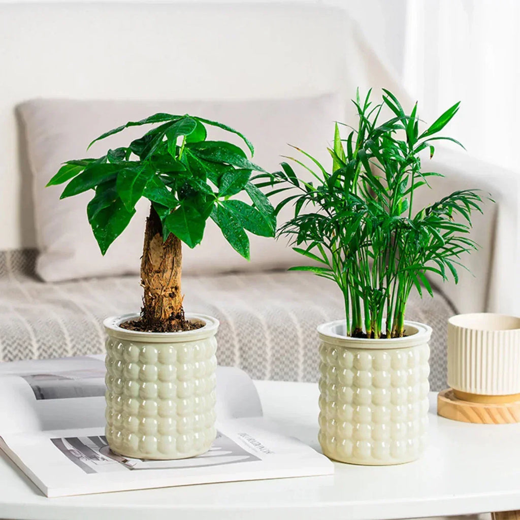ECOBLOOM Modern Hydroponic Pot — Self-Watering Soil-Free Planter