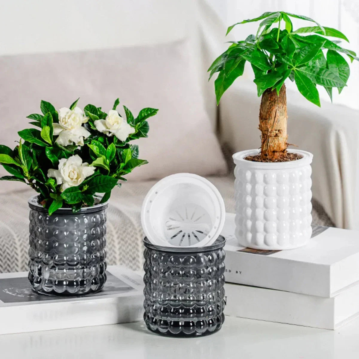 ECOBLOOM Modern Hydroponic Pot — Self-Watering Soil-Free Planter