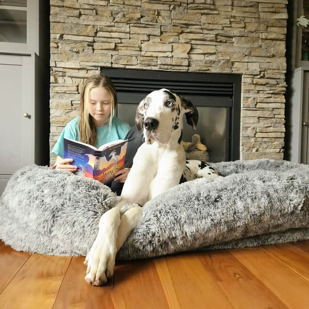 Cama donut para perros — espuma ortopédica, borde alto, antideslizante