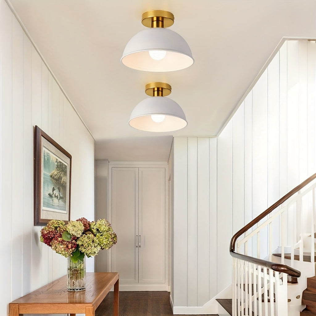 Modern Semi-Flush Ceiling Lamp | Matte Metal Finish | Wildoxy