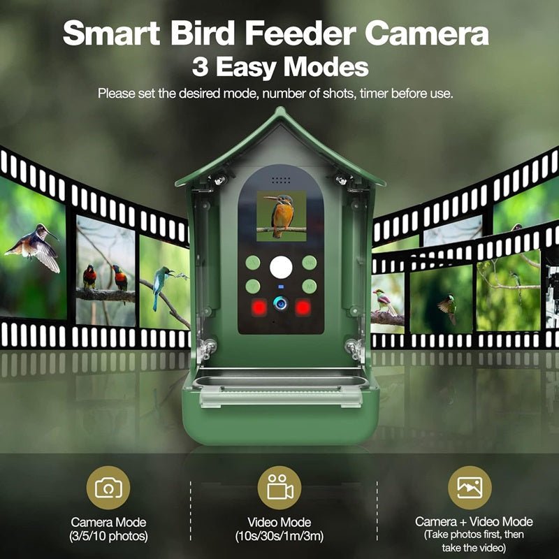 Mangiatoia per uccelli Feathervision - Fotocamera HD integrata, visualizzazione live in 1080p e acquisizione di foto