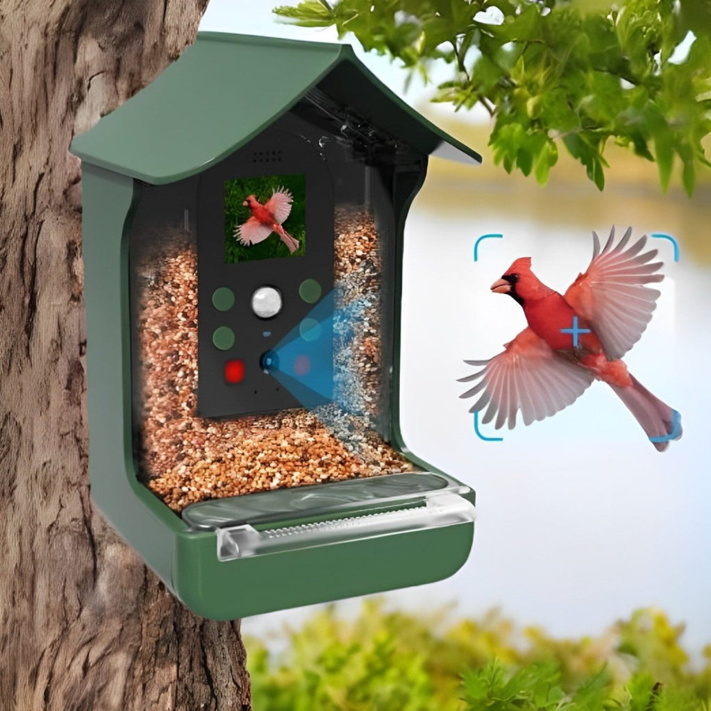 Mangiatoia per uccelli Feathervision - Fotocamera HD integrata, visualizzazione live in 1080p e acquisizione di foto