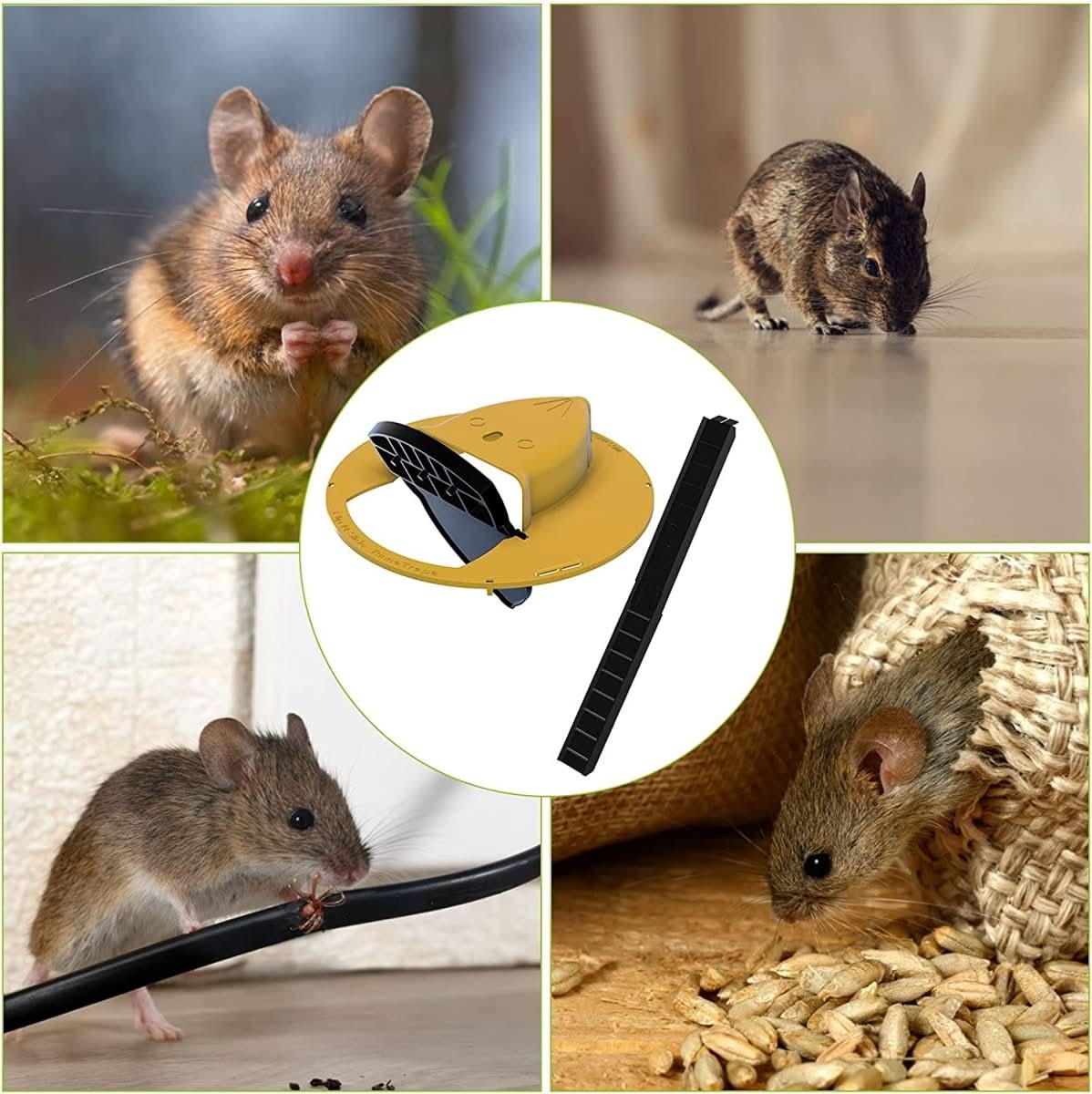 Armadilha de balde suave ECOCATCH para capturas múltiplas — Tampa de gravidade com mecanismo de prancha, compatível com baldes normais
