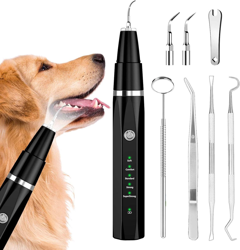 Professionele ultrasone tandsteenverwijderaar voor honden en katten