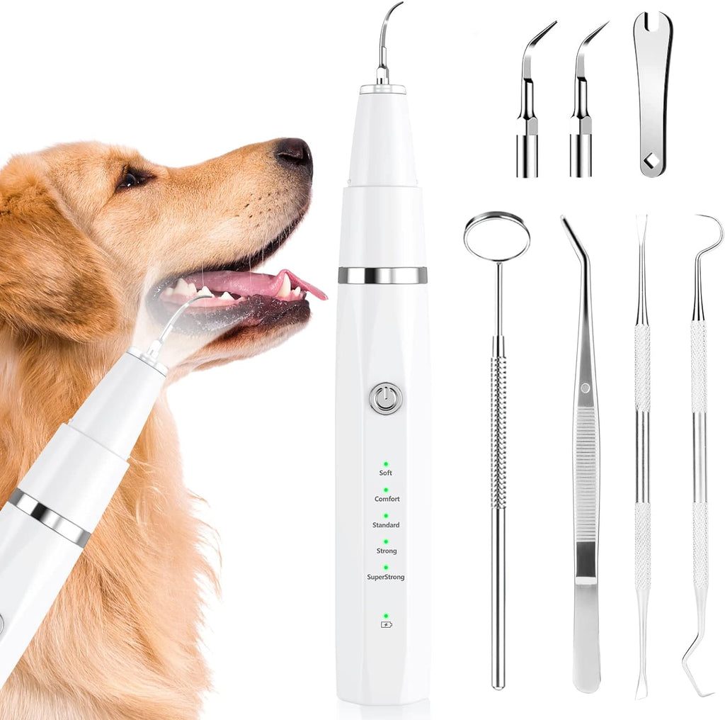 Professionele ultrasone tandsteenverwijderaar voor honden en katten