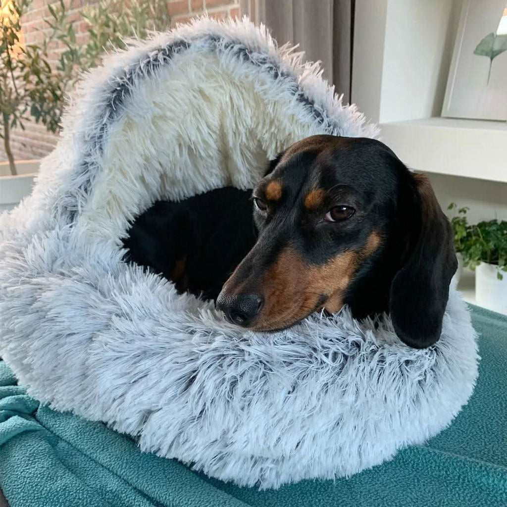 Couple's Pet Bed — Dual Sleeping Surface, Ultra-Soft Inner Layer