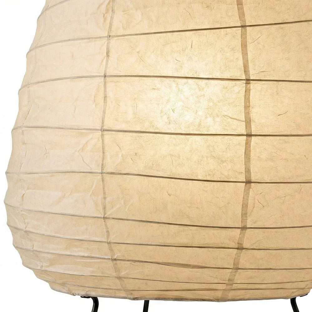 Akari Semi Oval Shape 1N Table Lamp | wildoxy