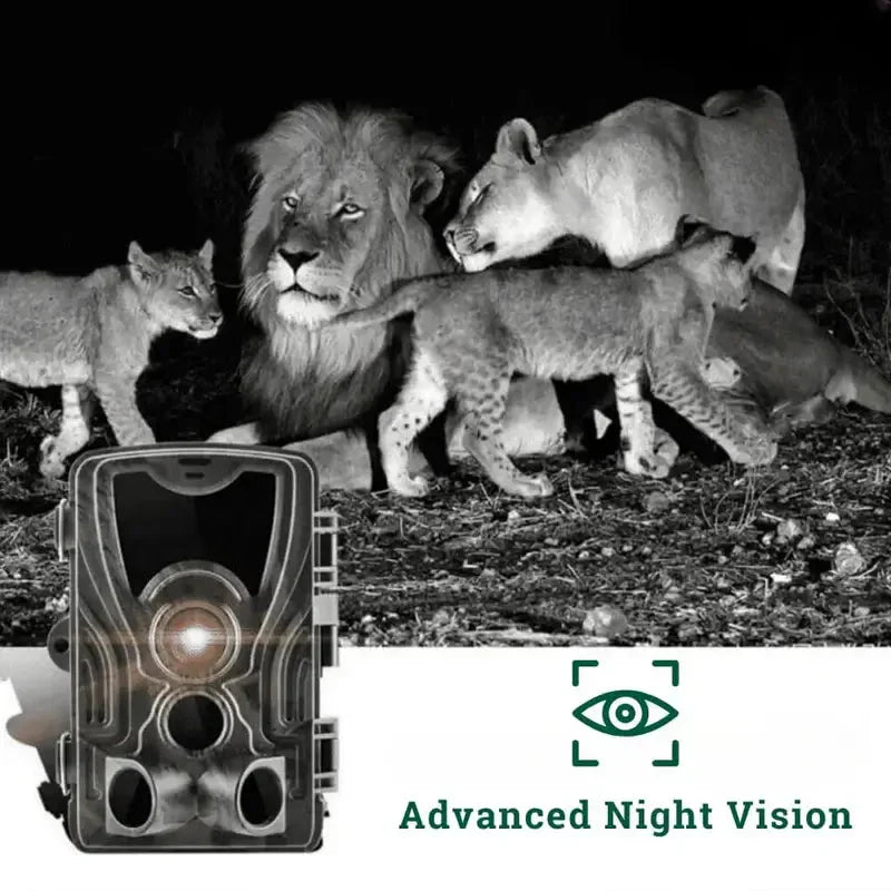 Câmara de vigilância da vida selvagem — Sensor de movimento, visão noturna e monitor